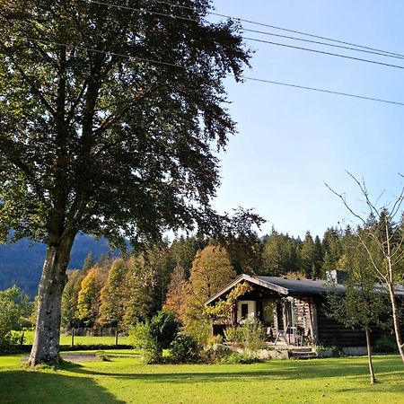 Chalet Scheffsnoth Lofer Εξωτερικό φωτογραφία