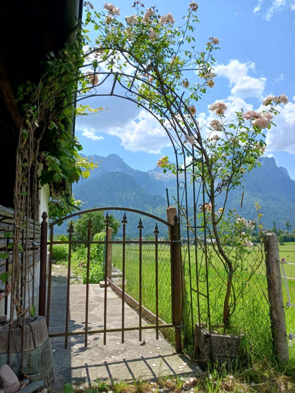 Chalet Scheffsnoth Lofer Εξωτερικό φωτογραφία